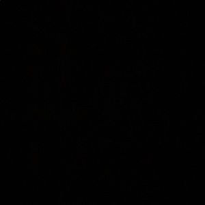 Meet your Posher, Nani